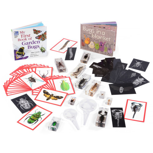 Bugs Resource Collection Early Years Science